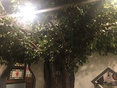 -北京全聚德(西客站店)