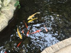 -南山植物园