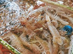 -大湾区中央湿地公园-十九涌