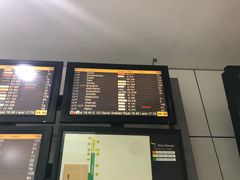 -英迪拉·甘地国际机场