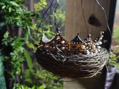 -逃脱反斗城沉浸剧情密室(北京路店)