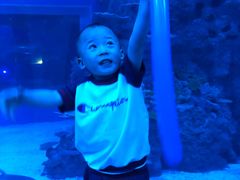 -成都浩海立方海洋公园