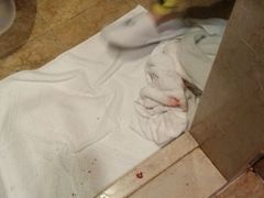 -南京维景国际大酒店(南京博物院店)