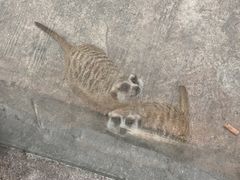 -杭州野生动物世界
