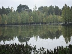 -白鹭湾湿地公园