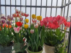 -肯德基(杭州复兴店)