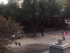 -长兴慧子土特产茶行