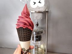 杨梅雪芭-喜茶(东莞汇一城店)