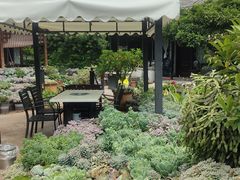 -山菌美食苑(振兴路店)