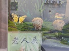 -七采菌园·野生菌石锅鱼(环城北路店)