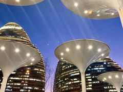 -新荟城(望京店)