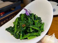 清炒板蓝根-青海名吃尕张娃非遗烤肉(海湖总店)