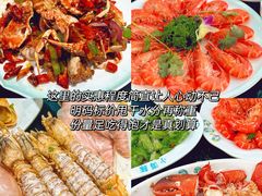 -亚龙湾热带天堂森林公园