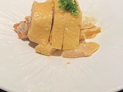 -新白鹿餐厅(虹桥南丰城店)