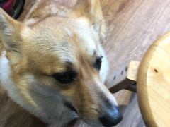 -阿木舂记·特色小吃(平江路店)