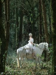 -第一夫人婚纱摄影(南京店)