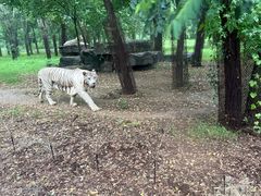 -秦皇岛野生动物园