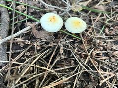 -沈阳辉山风景区