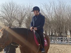 -北京群众马术培训基地