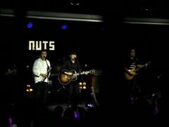 -坚果NUTS