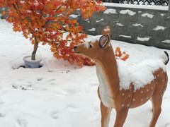 -星巴克臻选(郑州国贸360广场店)