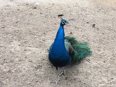 -祥源·阜阳生态乐园