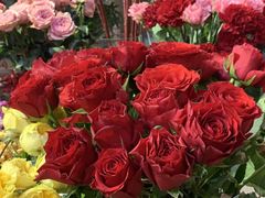 -良友花店(天目山路店)