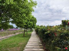-嘉北郊野公园
