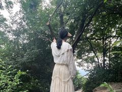 -紫金山山顶公园