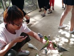-北京呀路古热带植物园