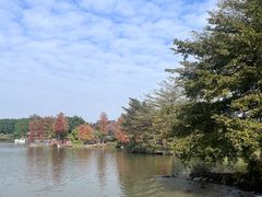 -海珠湖公园