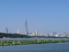 -紫峰大厦