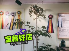 -猫十亿·布偶金渐层·曼基康矮脚猫舍(青年路店)