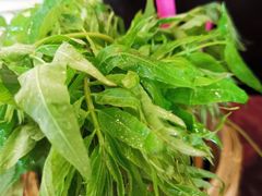 -老牌坊•鲁菜名店•地道济南菜(大观园商埠店)