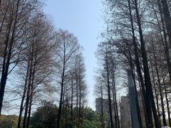 -四海公园(南山区)