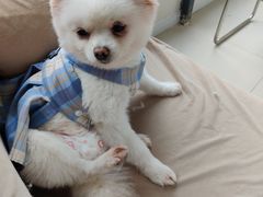 -怪兽屋·羊驼·猫咖·狗咖(俊华广场店)