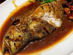 葱烧深海黄鱼-渔家风味·鲅鱼水饺·央视展播·海鲜天津菜(开发区店)