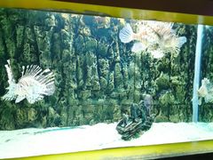 -北戴河圣蓝海洋公园