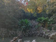 -伯先公园