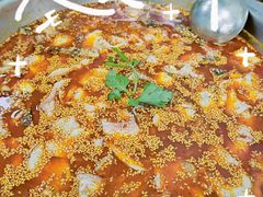 -川渔居—鱼火锅(八方汇店)