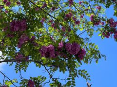 -鹫峰国家森林公园