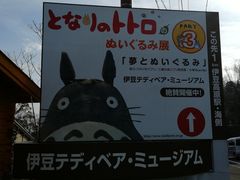-伊豆泰迪熊博物馆