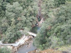 -九龙江国家森林公园