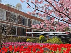 -丹东路渡口(轮渡站)