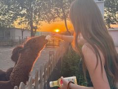 -水上乐园·欢乐世界