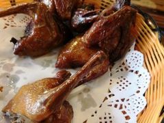-百利鸽王(紫薇路店)