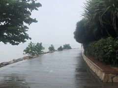 -深圳湾公园(南山区)