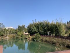 -广州从化都喜泰丽度假酒店温泉