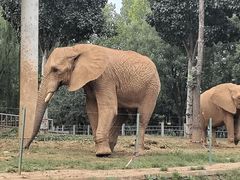 -石家庄市动物园