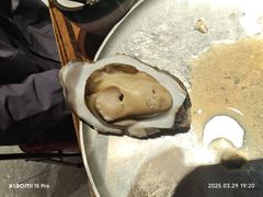 -蚝堡海鲜·威海菜·海肠捞饭·烧烤·亚洲吃蚝公司(幸福门店)